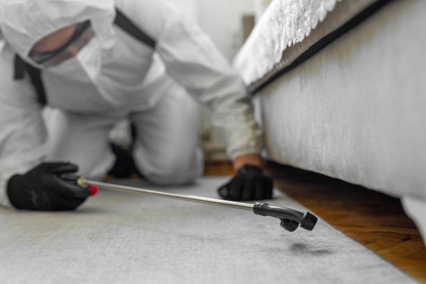 Professional Ant Control technician working in Polk County County, TN